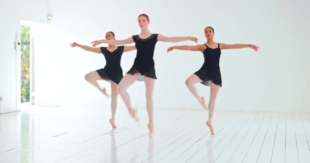 Dança Treinamento Grupo Bailarina Estúdio Fazendo Rotina Performance Exercício Prática — Vídeo de Stock