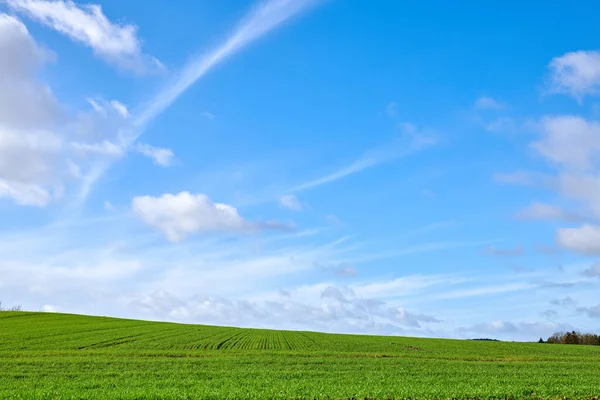 Photos Denmark Photo Danish Countryside Summertime — Stockfoto