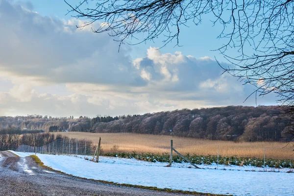 Zimní Období Venkov Dánsku Zimní Krajina Slunečného Dne Modrou Oblohou — Stock fotografie