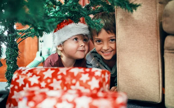 Hogy Megértsük Karácsonyt Nézzük Gyerekek Szemszögéből Két Imádnivaló Testvér Portréja — Stock Fotó