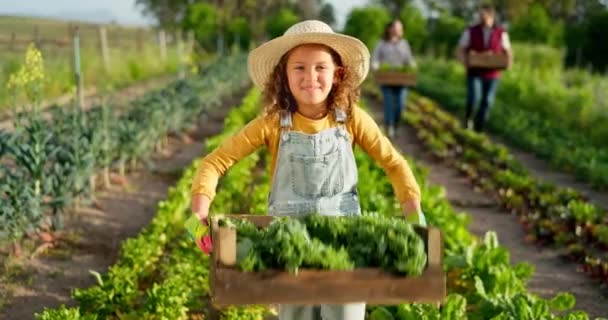 植物や持続可能性 成長と健康のための野菜ボックスと農場の女の子の肖像画 エネルギー 環境のための田舎の子供の農家と笑顔 学習と自然 — ストック動画