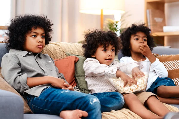 Ten Film Trzyma Ich Niepewności Trzech Uroczych Chłopców Jedzących Popcorn — Zdjęcie stockowe