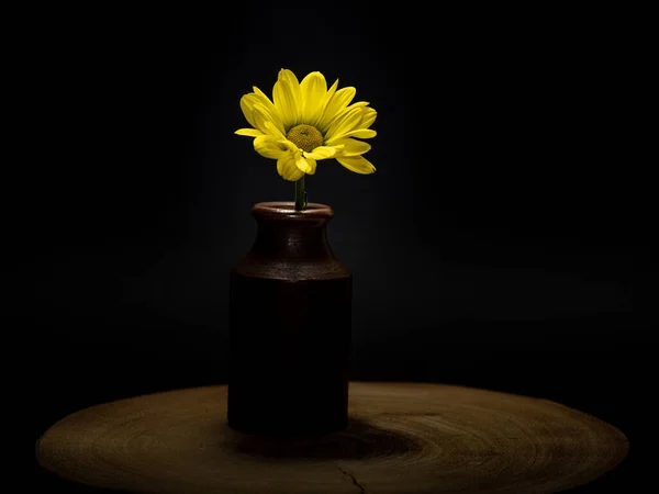 一枝黄色的花茎 一只旧瓶子靠着一根木头 还有黑色的背景 — 图库照片