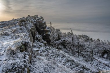 Kış boyunca Peak District Ulusal Parkı 'nda Hamamböcekleri' nde sıcaklık değişimi..