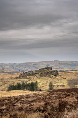 Baldstone ve Gib Torr kışın Peak District Ulusal Parkı 'nda hamamböcekleri, Ramshaw Kayaları ve Hen Bulutu' na bakıyorlar..