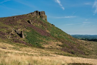 İngiltere 'nin Peak District Ulusal Parkı' ndaki Hen Cloud 'dan Staffordshire, The Roaches' taki mor fundanın panoramik görüntüsü..