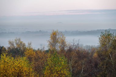 Gündoğumu, ve İngiltere 'nin Staffordshire şehrinde Downs Banks, Barlaston' da sonbahar ağacı ve yaprak rengi..