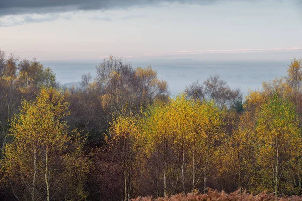 Sonnenaufgang Und Goldene Herbstfarben Den Downs Banks Barlaston Staffordshire Großbritannien — Stockfoto