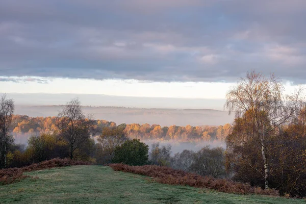 Sonnenaufgang Und Goldene Herbstfarben Den Downs Banks Barlaston Staffordshire Großbritannien — Stockfoto