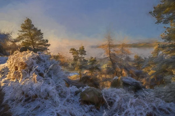 Cyfrowy Obraz Olejny Inwersji Temperatury Wschodu Słońca Karaluchach Zimą Parku — Zdjęcie stockowe