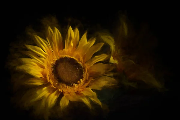 Digitaal Schilderij Van Een Boeket Van Lente Gele Zonnebloemen Tegen — Stockfoto