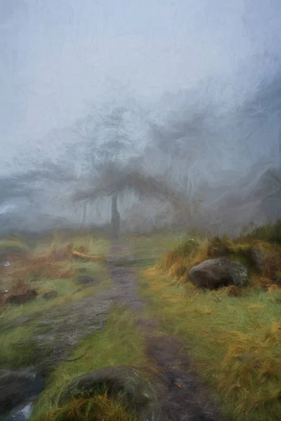 Digital Painting Mist Fog Roaches Woodland Winter Peak District National — Stock Photo, Image