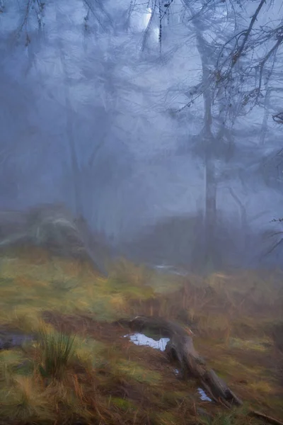 Pintura Digital Névoa Neblina Bosque Roaches Durante Inverno Peak District — Fotografia de Stock