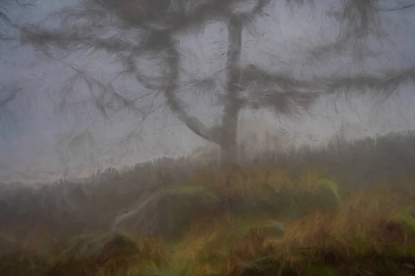 Ψηφιακή Ζωγραφική Ομίχλης Και Ομίχλης Στο Δάσος Roaches Κατά Διάρκεια — Φωτογραφία Αρχείου