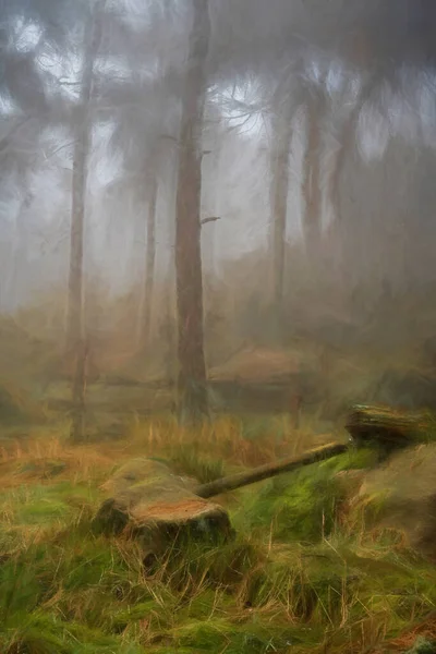 Peinture Numérique Brouillard Brouillard Dans Les Bois Des Roaches Pendant — Photo