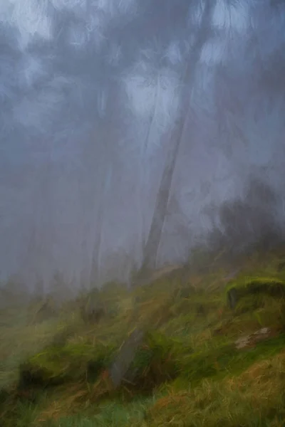 Digitale Malerei Von Nebel Und Nebel Kakerlakenwald Winter Peak District — Stockfoto