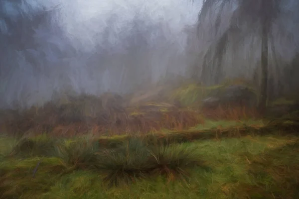 Digital Painting Mist Fog Roaches Woodland Winter Peak District National — Stock Photo, Image