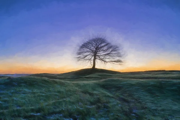 Digitales Ölgemälde Eines Einsamen Baumes Bei Sonnenaufgang Auf Grindon Moor — Stockfoto