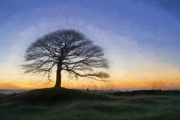 Digital Oil Painting Lone Tree Sunrise Grindon Moor Staffordshire White — Stock Photo, Image