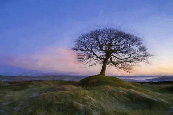 Digital Oil Painting Lone Tree Sunrise Grindon Moor Staffordshire White — стокове фото