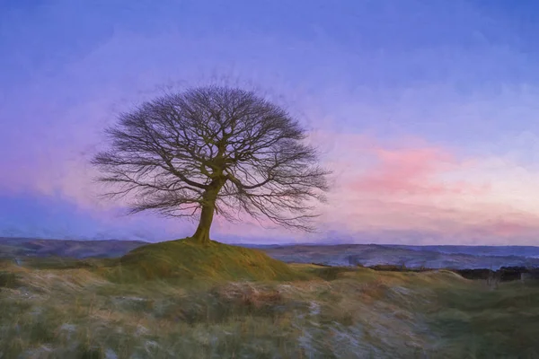 Digital Oil Painting Lone Tree Sunrise Grindon Moor Staffordshire White — стокове фото