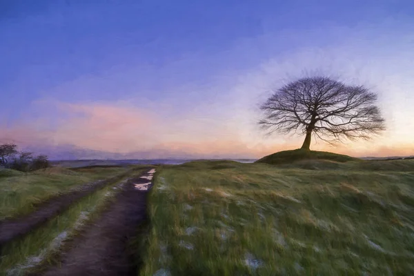 Digitales Ölgemälde Eines Einsamen Baumes Bei Sonnenaufgang Auf Grindon Moor — Stockfoto