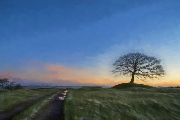 Pintura Óleo Digital Uma Árvore Solitária Nascer Sol Grindon Moor — Fotografia de Stock