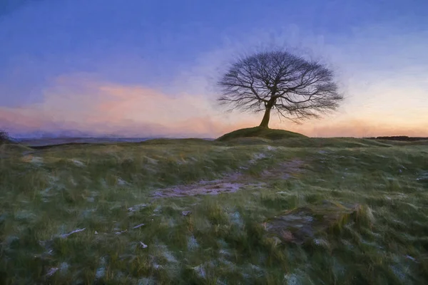 Pintura Óleo Digital Uma Árvore Solitária Nascer Sol Grindon Moor — Fotografia de Stock