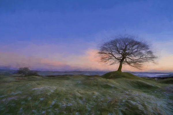 英国斯陶福德郡格林登摩尔山顶国家公园的一棵孤树在日出时分的数字油画 — 图库照片