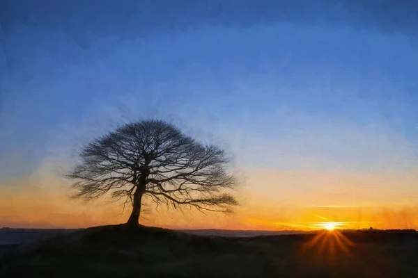 Digital Oil Painting Lone Tree Sunrise Grindon Moor Staffordshire White — Stock Photo, Image
