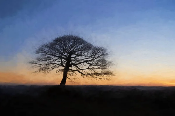 英国グリンドンモーター スタッフォードシャー ホワイトピーク ピーク地区国立公園の日の出に一本の木のデジタル油絵 — ストック写真