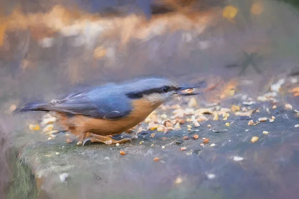 Digital Painting Eurasian Nuthatch Eating Nuts Woodland Background Winter — Stock Photo, Image