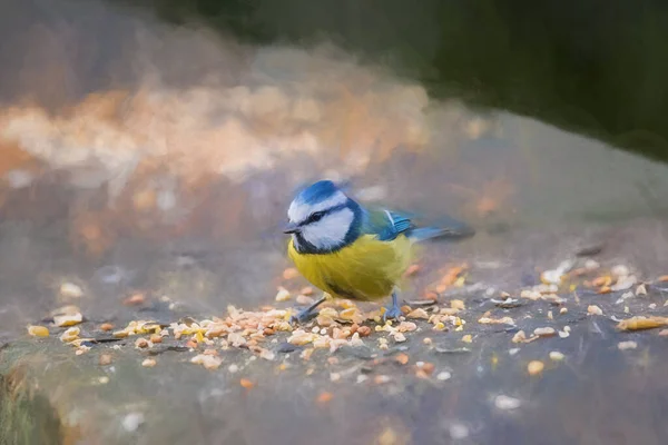 Digital Painting Eurasian Blue Tit Eating Nuts Woodland Winter — Zdjęcie stockowe