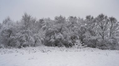 Wetley Moor, Staffordshire, İngiltere 'de tipik bir kırsal kış manzarası..
