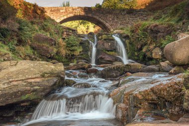 Üç Shire Heads. Peak District Ulusal Parkı 'ndaki Three Shires Head' de bir şelale ve yük atı taşı köprüsü..
