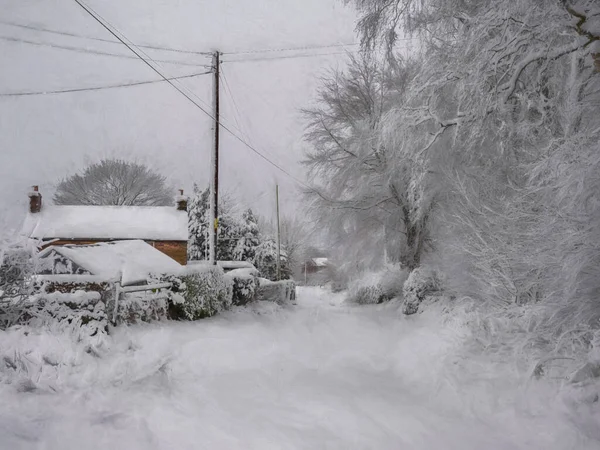 Wetley Moor, Staffordshire, İngiltere 'de tipik bir kırsal kış manzarası dijital tablosu..