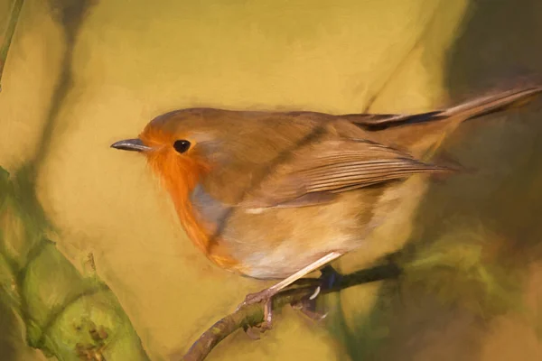 Peinture Numérique Poireau Rouge Européen Erithacus Rubecula Dans Habitat Boisé — Photo