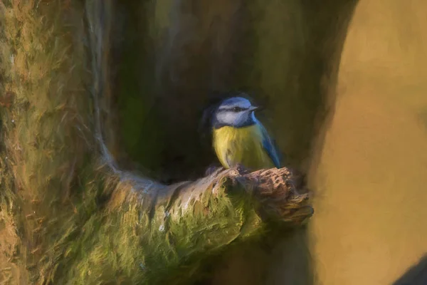 Digital Painting Eurasian Blue Tit Cyanistes Caeruleus Natural Woodland Background — Stockfoto