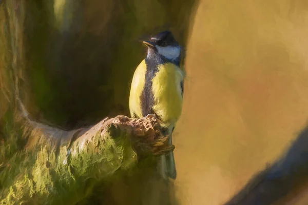 Digital Painting Great Tit Parus Major Natural Woodland Setting Winter — Stockfoto