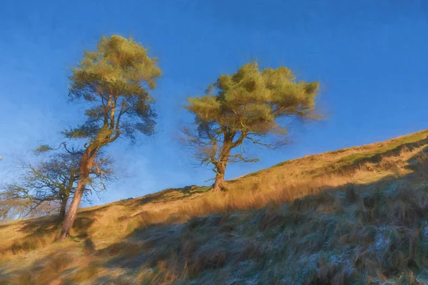 Digitale Malerei Von Zwei Bäumen Goyt Tal Peak District Nationalpark — Stockfoto