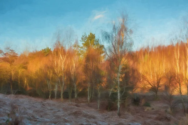 Digitale Malerei Von Silberbirken Wald Bei Cannock Chase Aonb Staffordshire — Stockfoto