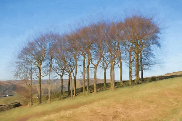 Digitale Malerei Von Twenty Trees Bei Hayfield Kinder West Peak — Stockfoto