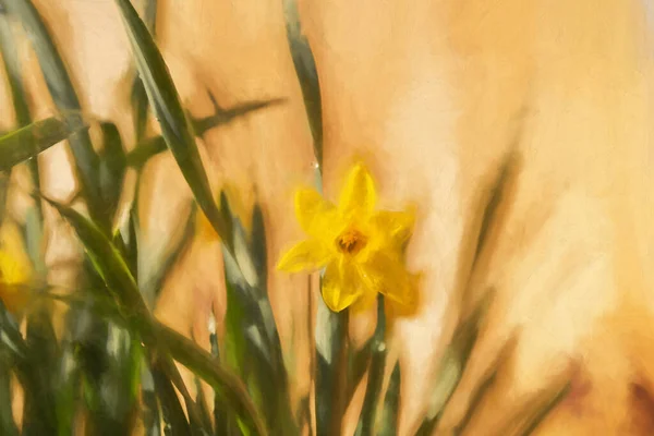 Цифровий Живопис Красивого Єдиного Жовтого Нарциса Природному Середовищі — стокове фото