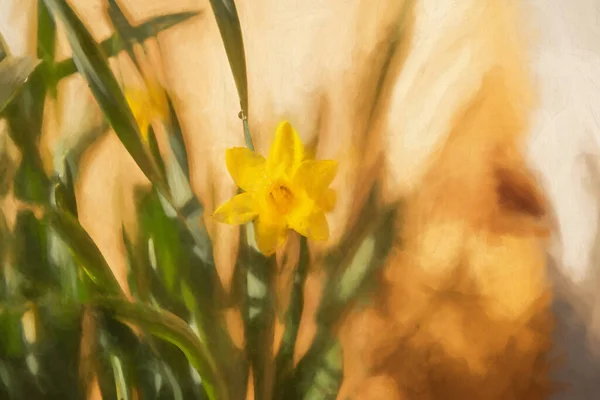Digitaal Schilderij Van Een Prachtige Enkele Gele Narcis Een Natuurlijke — Stockfoto