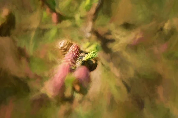 Digitale Malerei Junger Tannenzapfentriebe Isoliert Einer Natürlichen Waldumgebung — Stockfoto