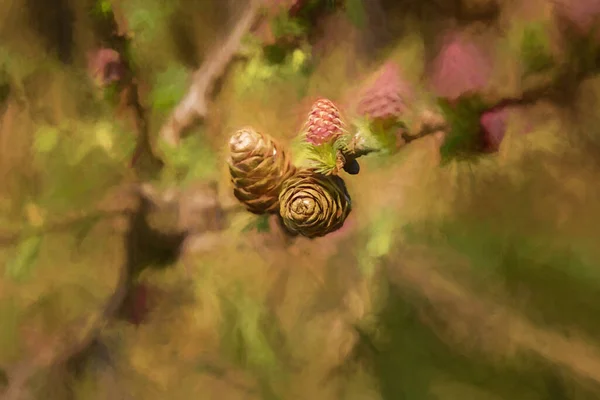 Digitale Malerei Junger Tannenzapfentriebe Isoliert Einer Natürlichen Waldumgebung — Stockfoto