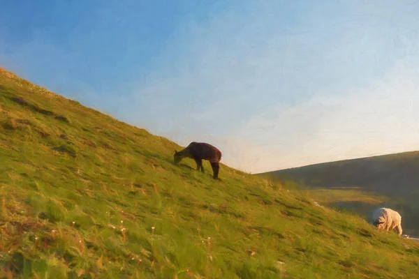 Peinture Numérique Pâturage Des Moutons Sur Parkhouse Hill Chrome Hill — Photo