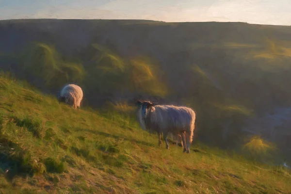 Peinture Numérique Pâturage Des Moutons Sur Parkhouse Hill Chrome Hill — Photo