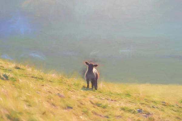 Digital Painting Sheep Grazing Parkhouse Hill Chrome Hill Sunrise Peak — Stock Photo, Image