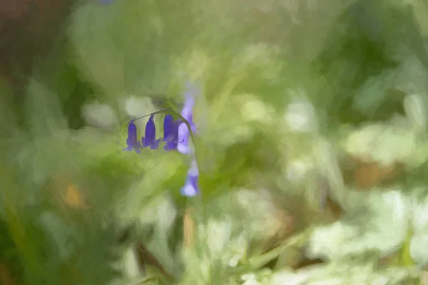 Pintura Digital Flores Sino Azul Púrpura Iluminadas Pelo Sol Brilhantemente — Fotografia de Stock